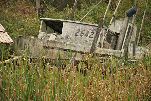 Rustic scene of Finn Slough in Vancouver, British Columbia, featuring a weathered wooden building beside a marshy waterway lined with tall grasses and reeds. The tranquil landscape blends natural beauty with rural life—ideal for themes of heritage, ecology, and coastal living.