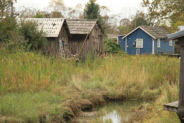 Rustic scene of Finn Slough in Vancouver, British Columbia, featuring a weathered wooden building beside a marshy waterway lined with tall grasses and reeds. The tranquil landscape blends natural beauty with rural life—ideal for themes of heritage, ecology, and coastal living.