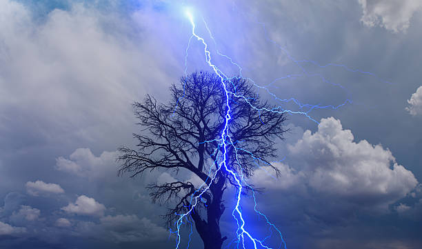 istock Lightning strike on a dark blue sky over the tree branch silhouette 2249123769
