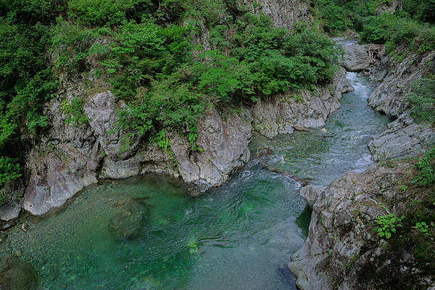 Beautiful summer valley with clear streams and rock