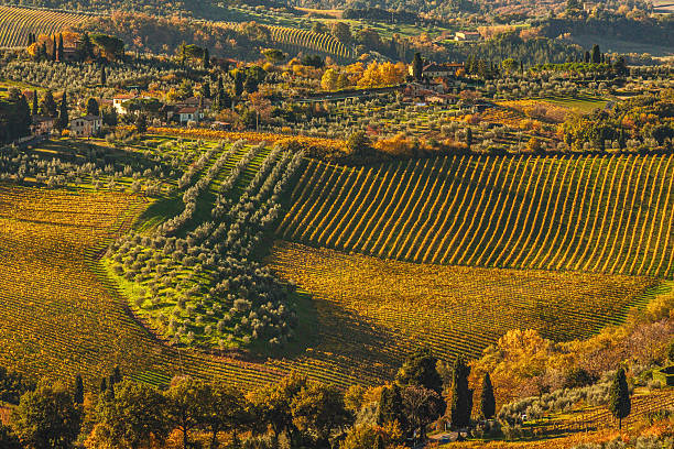 Scenic Tuscany Agricultural Hills