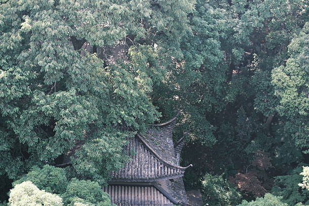 Chinese architecture, ancient architecture, eaves