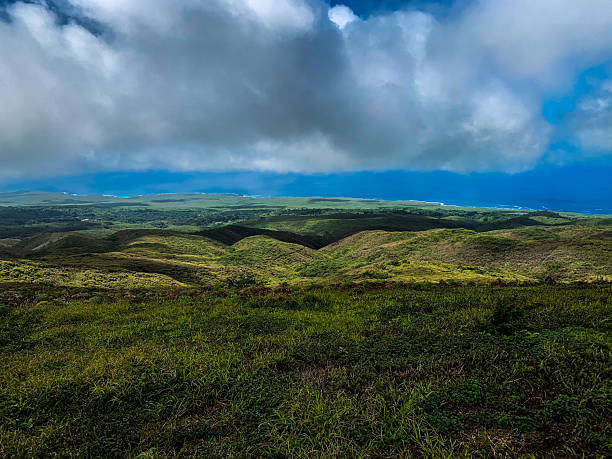 istock Jungle landscape on the Galapagos Islands 2249133694