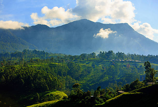 istock The Highlands of Sri Lanka 2249134224
