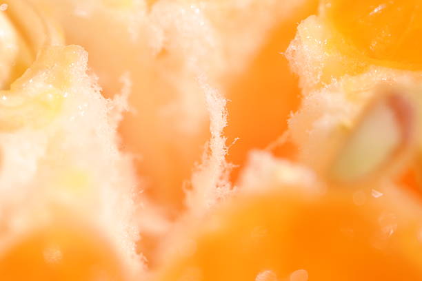 Macro of a orange fruit texture, closeup of orange fruit texture background