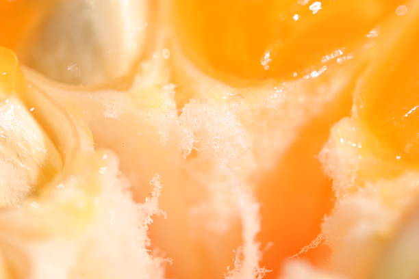 Macro of a orange fruit texture, closeup of orange fruit texture background