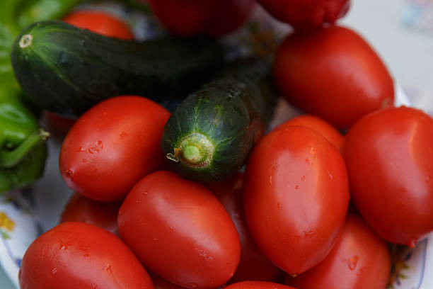 ripe roma tomatoes and cucumbers dewy, home gardener harvest arranged in ceramic bowl on textile, morning light highlighting