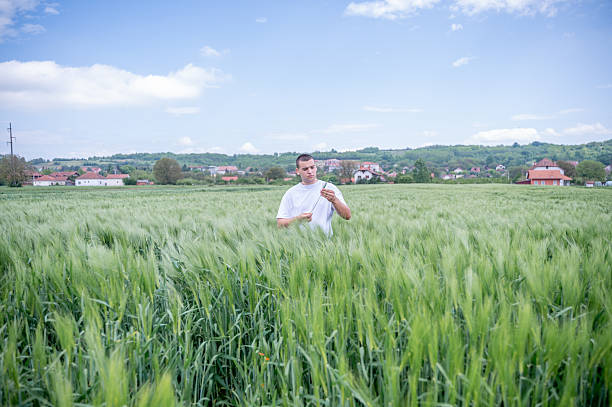 The young man is in the field of cereals, where he observes whether there is any success. The field is flat and small hills can be seen in the background.