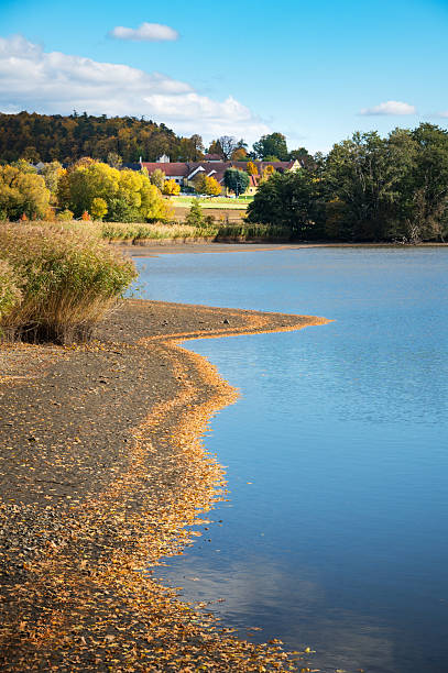 istock Shore along a small lake covered with autumn coloured foliage, G 2249134874
