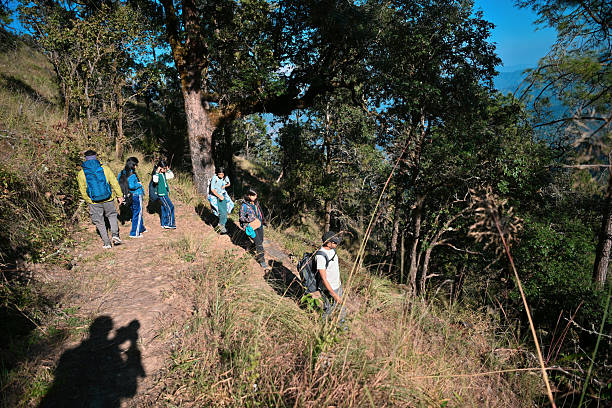 istock Group of Hikers descending a forested Mountain Trail in Uttarakhand, India 2249136421