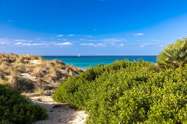 istock In the dunes of Cala Mesquida, Mallorca 2249136610