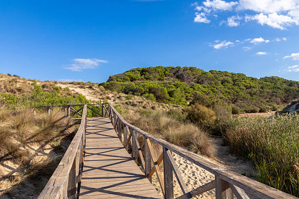 istock In the dunes of Cala Mesquida, Mallorca 2249136621