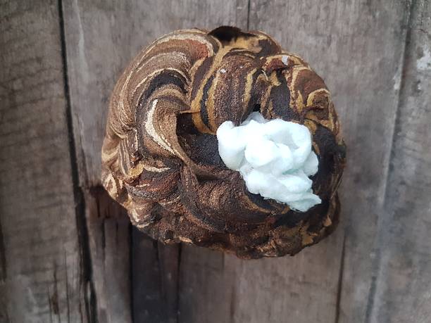 The wriggling bee pupae in the hornet's nest