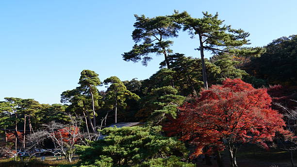 istock Autumn Scenery and red maple trees at Yoro Park, Gifu, Japan 2249140016
