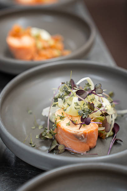 istock Gourmet Plated Salmon Starter with Fresh Microgreens and Sliced Vegetables Served in a Modern Grey Ceramic Bowl on a Table 2249142752