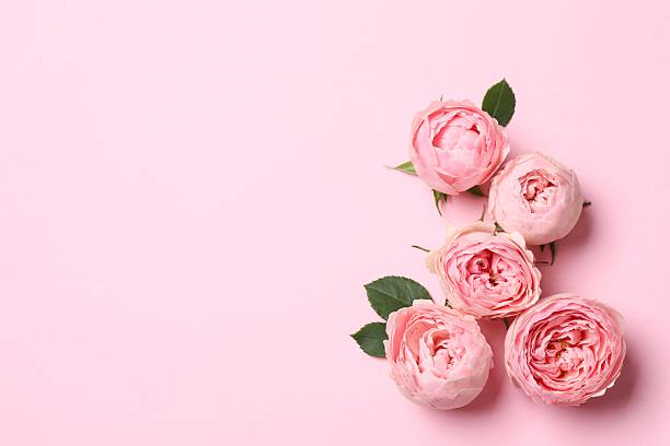 istock Beautiful composition with pink roses on color background 2249145073