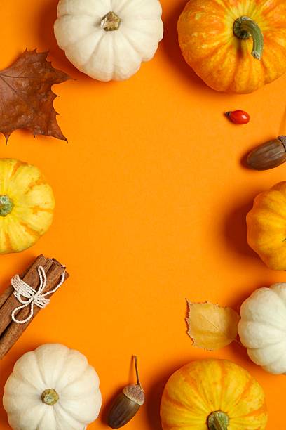 istock Beautiful autumn composition with pumpkins on a color background, top view 2249146816