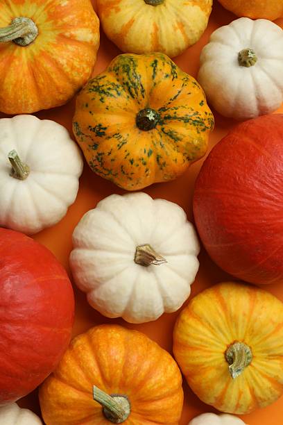 istock Beautiful autumn composition with pumpkins on a color background, top view 2249146848