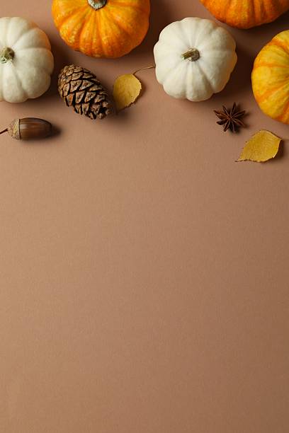 istock Beautiful autumn composition with pumpkins on a color background, top view 2249146877