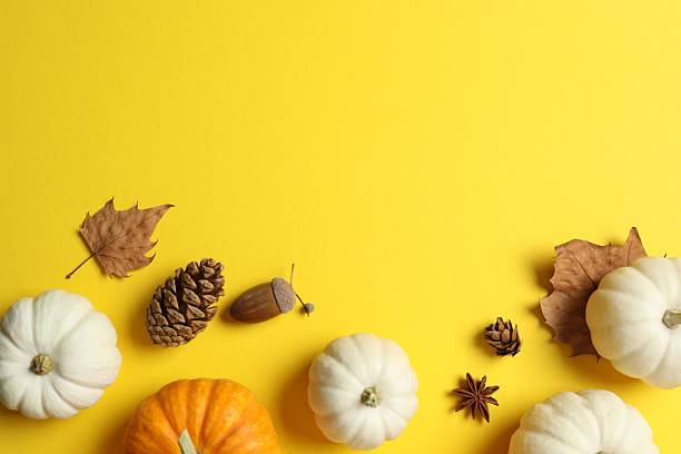 istock Beautiful autumn composition with pumpkins on a color background, top view 2249147892