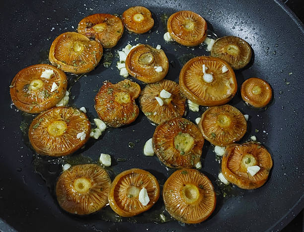 Grilled saffron milk cap mushrooms with garlic. Delucius Lactarius saffron milk cap mushrooms fried in a pan with garlic. Tordesillas, Valladolid, Castile and León, Spain, Europe - October 31, 2024.