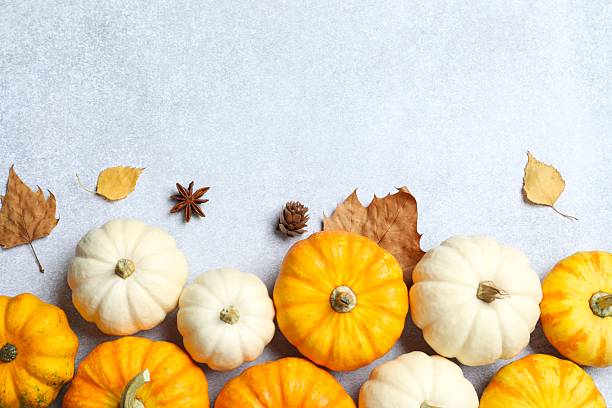 istock Top view of pumpkins and autumn decor on a grey background, space for text 2249148983