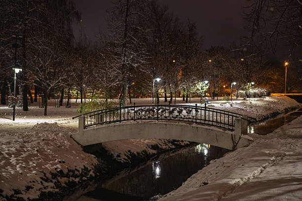 Enchanting winter night: ornate iron bridge covered in fresh snow spans a half-frozen stream in a quiet park. Warm street lamps reflect in dark water, surrounded by snow-laden trees. Magical and peaceful mood.