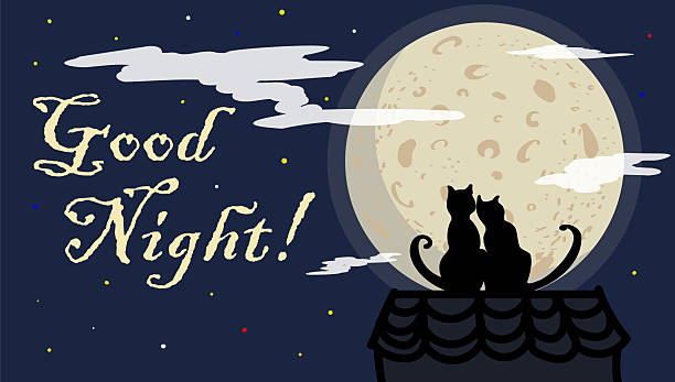 istock Romantic good night wish with the moon and two black cats. 2249156618