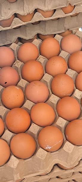 istock Eggs in paper trays at a store 2249164910