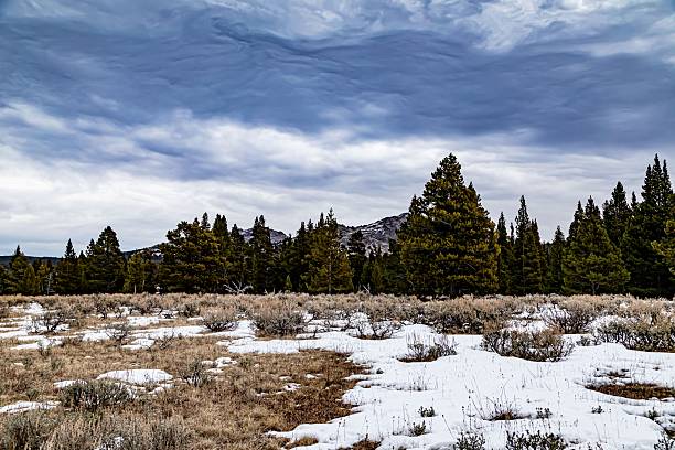 Foothill Scene Of The Big Horn Mountain Range.