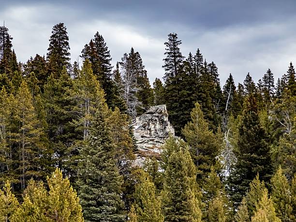 The Big Horn Mountains, Wyoming.