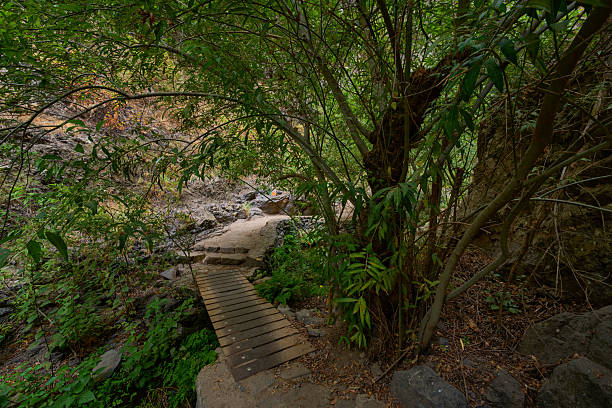 istock Wooden bridge over stream canyon 2249171325