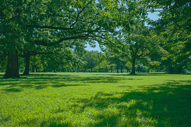 green background