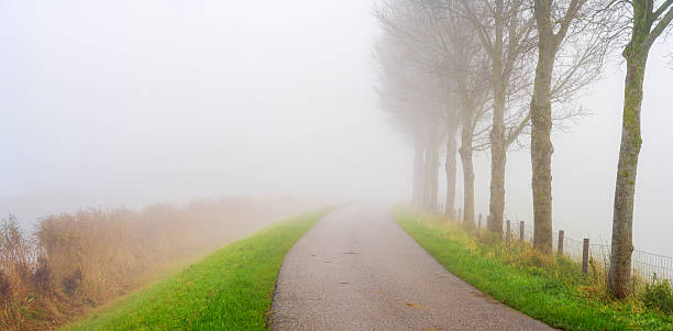Misty Road with Trees near Schermerhorn, Netherlands