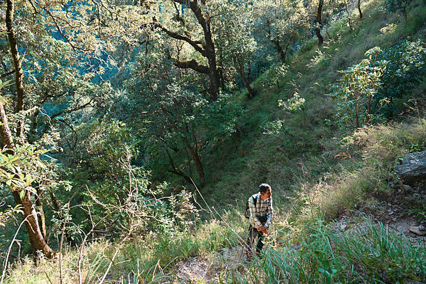 A local guide pauses on a steep forest trail in the Himalayan region, waiting for the trekking group to catch up. The lush green landscape, sunlight filtering through the trees, and rugged terrain highlight the beauty and challenge of mountain trekking. Ideal for themes related to adventure travel, eco-tourism, local culture, guided hikes, exploration, and sustainable tourism in India.