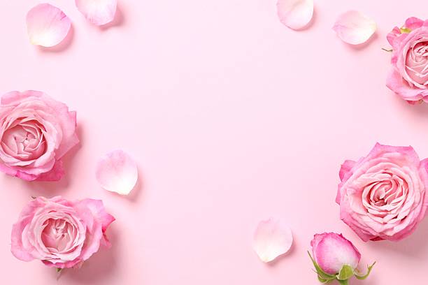 istock Top view of  pink roses on color background 2249175159