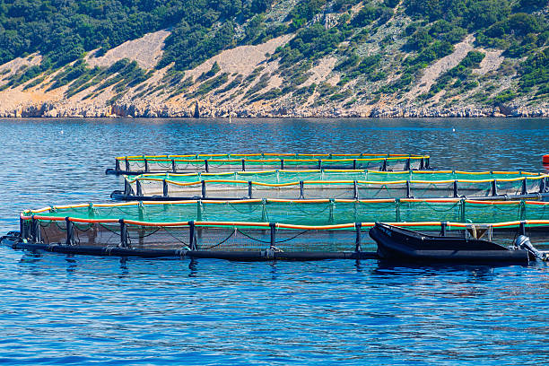 istock Coastal fish farm with net cages in tranquil blue water 2249178488