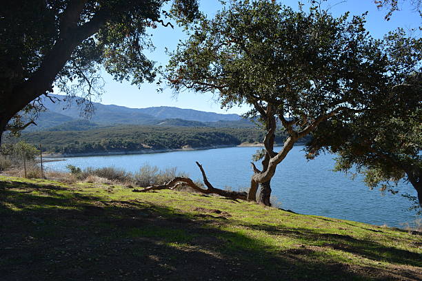 A serene lake view captures the sun's reflection on the water. Lush trees border the shoreline, creating a peaceful escape in nature during a clear day.