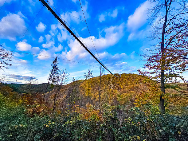 istock Autumn Crossing suspensionbridge autumn thrilling 2249179850