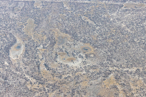 istock aerial view of Botswana's bush landscape 2249180394