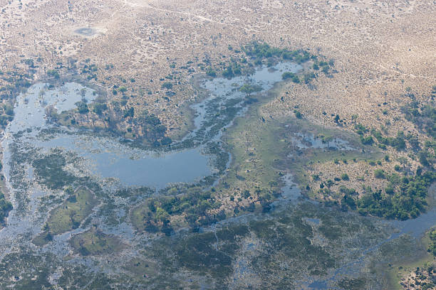 istock aerial view of Botswana's partially flooded Okavango Delta 2249180395