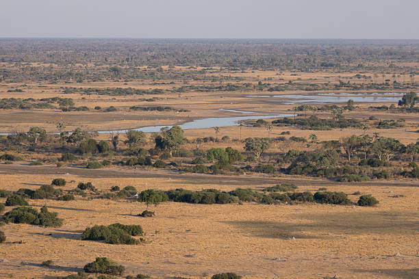 A moody sky above the Okavango Delta, Chobe National Park,Botswana.