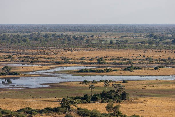 istock aerial view of the Okavango Delta landscape 2249181521