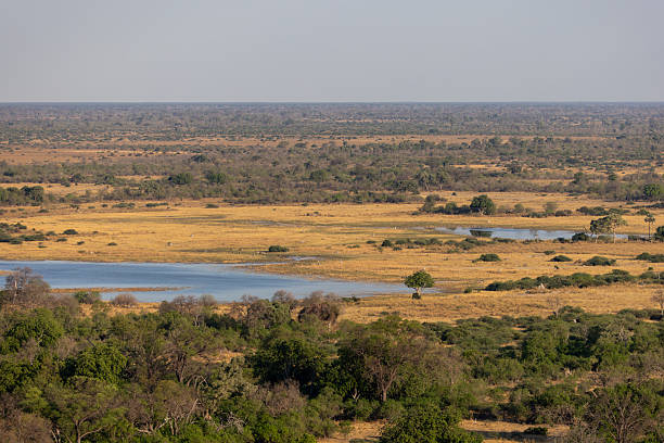 istock aerial view of the Okavango Delta landscape 2249181563