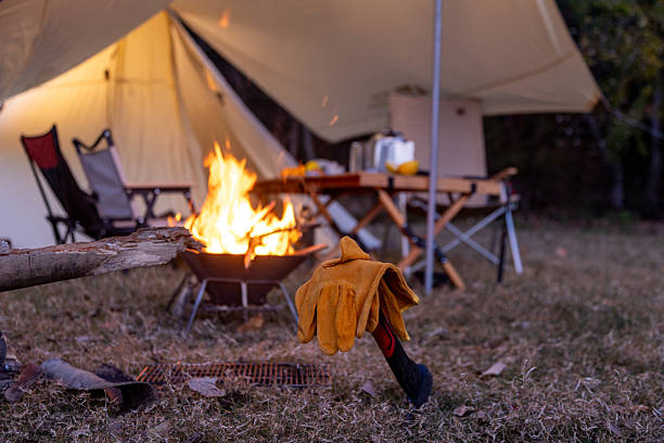 Autumn forest camping, a campfire at night, and the sky.