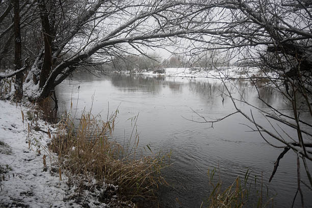 A dark winter day on the riverbank.