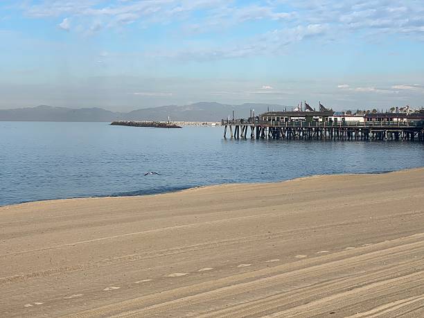 istock Calm Beach Scene Captures a Serene Morning With Gentle Waves and a Distant Pier Against a Clear Sky 2249185161