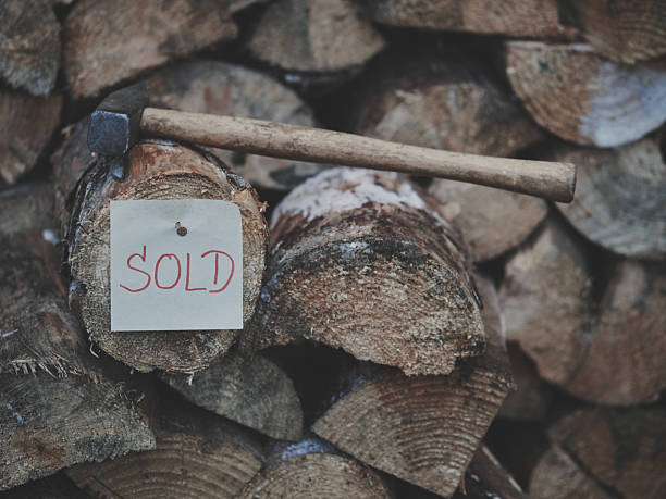 The man holds a firewoods in one hand and an axe in another in the countryside at the sunset