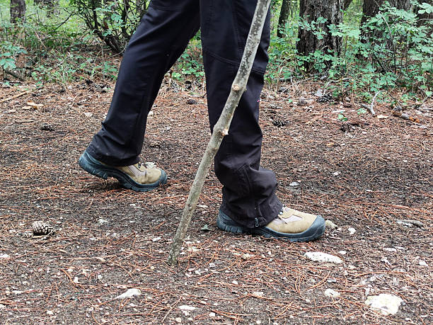 a man walks along a forest road, leaning on a stick, lower part.
