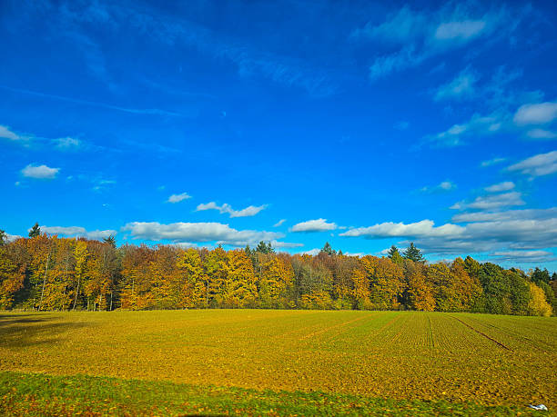 Farm land in Ontario, Canada in October